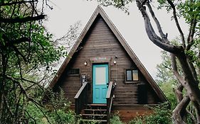 The Maverick: A-Frame W/ Hammock And Tree Top View